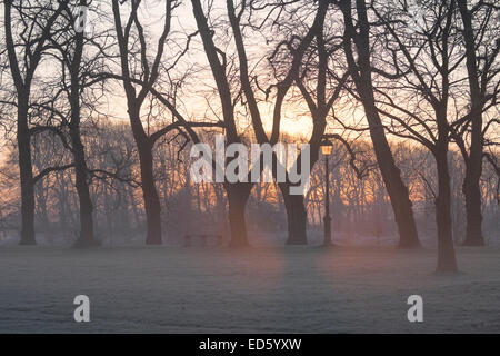 Preston, Lancashire, Regno Unito. Il 29 dicembre, 2014. Regno Unito meteo. Avenham parco nel centro di Preston con early morning mist dal fiume Ribble. Credito: Paolo Melling/Alamy Live News Foto Stock