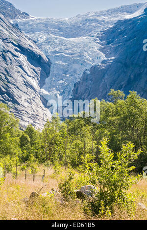 Il Ghiacciaio Briksdal Jostedalsbreen parco nazionale in Norvegia Foto Stock