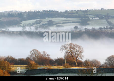 Lochwinnoch, Renfrewshire, Scozia, Regno Unito. 29 Dicembre 2014. Regno Unito Meteo: Dopo il gelo notturno, la nebbia gelata persisteva per la maggior parte del giorno prima che il sole finalmente si ruppe attraverso metà pomeriggio con una inversione di temperatura sul Castello Semple Loch Foto Stock