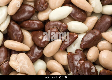 Dettaglio del bianco e del marrone al cioccolato mandorle sfondo Foto Stock