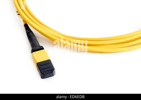 Nastro in fibra ottica patch cord con connettore MTP isolati su sfondo bianco Foto Stock