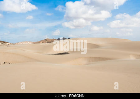 Le dune di sabbia nel deserto di Viana - Deserto de Viana in Boavista - Capo Verde - Cabo Verde Foto Stock