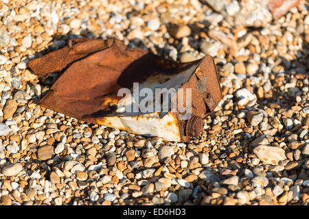 Cattura da Dungeness nel Kent Foto Stock