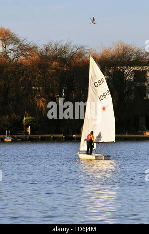 Barca a vela sul Oulton Broad, Norfolk, Regno Unito Foto Stock