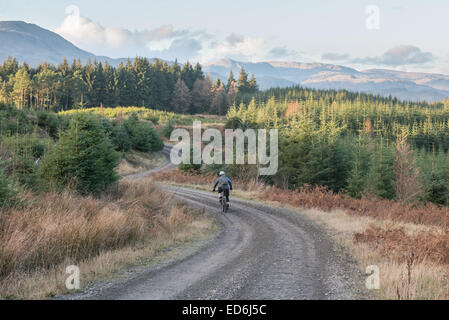 Mountain biker in Grizedale Forest, con il Lake District fells in background Foto Stock