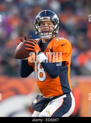 Denver, Colorado, Stati Uniti d'America. 28 dic 2014. Broncos Peyton Manning si prepara a lanciare un pass per un compagno di squadra durante la 2a metà in corrispondenza autorità sportive Field at Mile High domenica pomeriggio. Broncos battere i raider 47-14. © Hector Acevedo/ZUMA filo/Alamy Live News Foto Stock