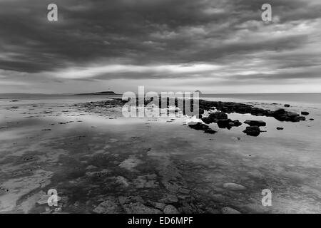 Le viste dal litorale al Kildonan sull'isola di Arran guardando verso Ailsa Craig Foto Stock