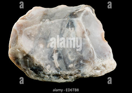 Grigio selce (flinstone, SiO2) campione Foto Stock