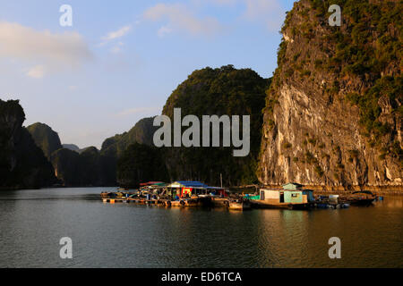 Floating allevamento ittico in Lan Ha Bay al largo della costa di Cat Ba Island, Vietnam Foto Stock