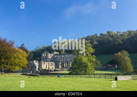 Rievaulx Abbey vicino a Helmsley in North Yorkshire. Foto Stock