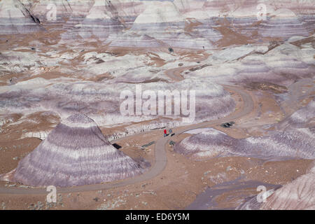 Stati Uniti d'America, Arizona, Parco Nazionale della Foresta Pietrificata, Blue Mesa Loop, vista del badlands Foto Stock