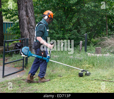 Il taglio lungo erba ruvida con un decespugliatore benzina chiamato anche weed  eater o weed-wacker Foto stock - Alamy