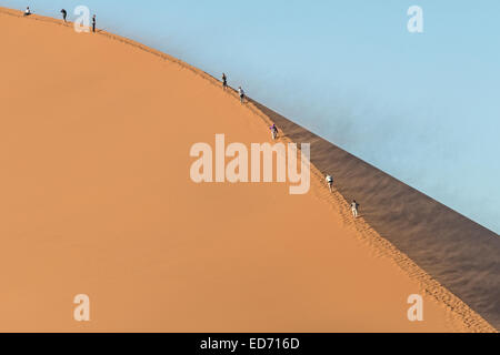 Salita Duna 45, Sossusvlei, Namib-Naukluft Parco Nazionale, Namibia Foto Stock