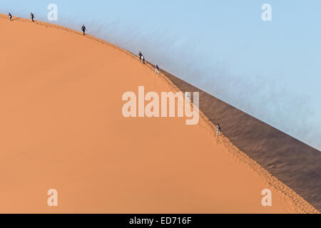 Salita Duna 45, Sossusvlei, Namib-Naukluft Parco Nazionale, Namibia Foto Stock