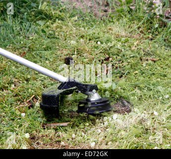 Il taglio lungo erba ruvida con un decespugliatore benzina chiamato anche "weed eater" o "weed-wacker.". Foto Stock