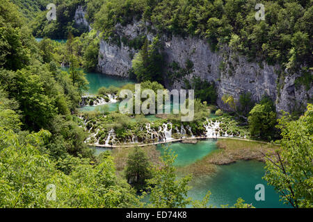 I laghi di Plitvice, Croazia Foto Stock