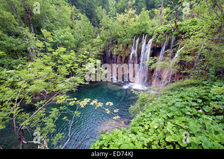 I laghi di Plitvice, Croazia Foto Stock