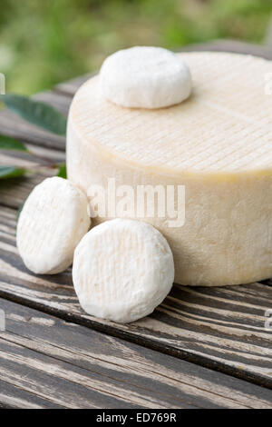 Un assortimento di formaggi di capra che giace su di un tavolo di legno pannelli Foto Stock
