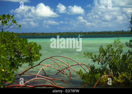 Saltwater fly fishing per bonefish sull Isola di Abaco delle Bahamas Foto Stock