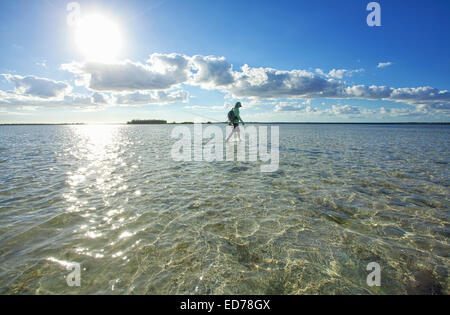 Saltwater fly fishing per bonefish sull Isola di Abaco delle Bahamas Foto Stock