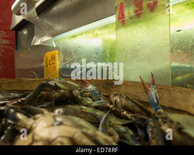 Dipartimento di frutti di mare nel mercato asiatico in Albany, New York. Foto Stock