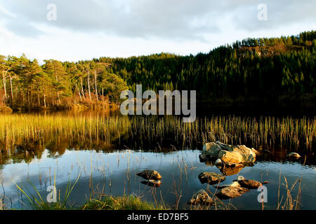 Loch Lundie si trova circa a 3 miglia da plockton nelle Highlands della Scozia Foto Stock
