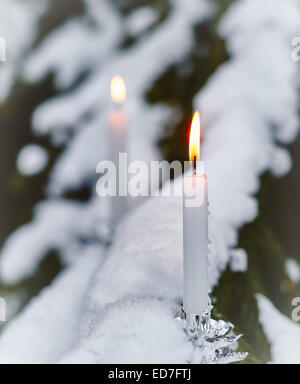 Candele bianche su terreni innevati abete rosso - sensazione di natale. Foto Stock