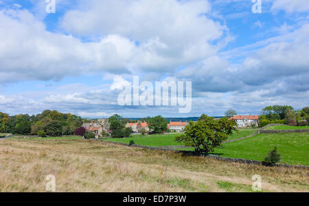 Goathland villaggio con campi circostanti e muri in pietra a secco nel cuore del North York Moors National Park, il Yorkshire, Regno Unito. Foto Stock