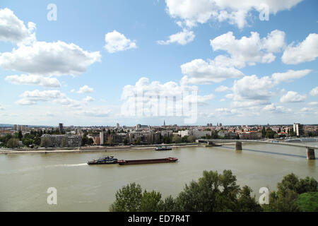 Navi sul fiume Danubio dalla città di Novy Sad, Serbia. Un ponte attraversa il Danubio. Foto Stock