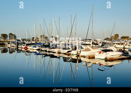 Barche a vela, Embarcadero Marina, San Diego, California USA Foto Stock