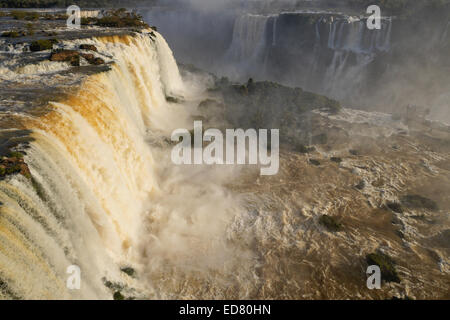 Cascate di Iguassù, visto dal lato del Brasile del Fiume Iguazu Foto Stock