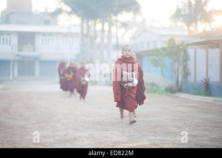 Avviare i giovani monaci raccogliendo elemosine al mattino presto Foto Stock