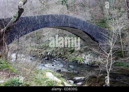 Chiselcombe ponte sull'EST Lyn Fiume, Vicino Lynmouth, North Devon, Inghilterra, Regno Unito. Foto Stock