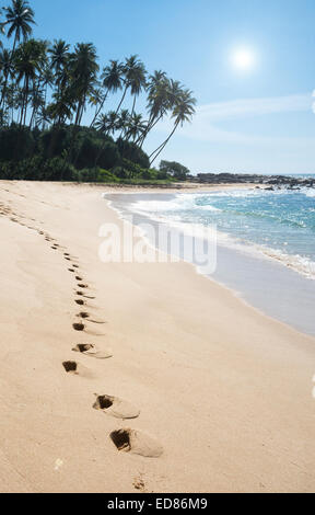 Impronte sulla Paradise beach con palme da cocco e sabbia bianca, Tangalle, sud della provincia, Sri Lanka, in Asia. Foto Stock