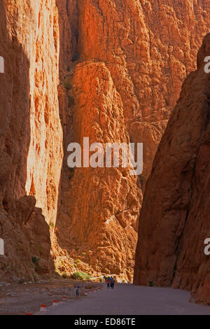 Del Todra, Todra valle, Alto Atlante, Marocco, Africa del Nord Foto Stock