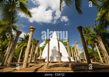 Ambasthale Dagoba in Mihintale, un enorme bianco antico stupa circondato da colonne in pietra. Foto Stock