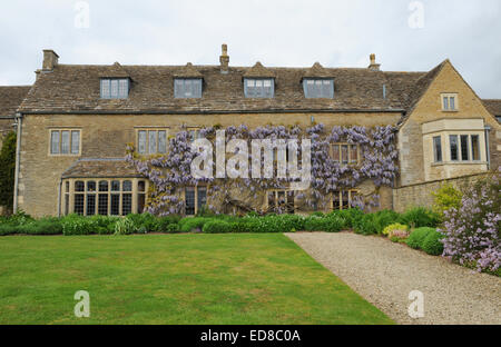 Fioritura Wisteria su Whatley Manor in Cotswolds vicino a Malmesbury, Wiltshire, Inghilterra, Regno Unito Foto Stock