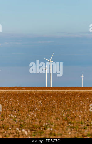 Fonti di energia rinnovabili turbine eoliche con campi di cotone in primo piano Foto Stock