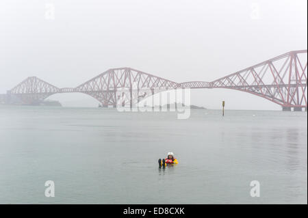 South Queensferry, Edinburgh, Regno Unito. 01 gen 2015. Giorno di nuovi anni nuotare 'Loony Dook' Credit: Keith Lloyd Davenport/Alamy Live News Foto Stock