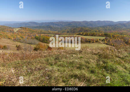Vista panoramica che si affaccia sulla pittoresca Appalachian montagne e foreste vestito con i colori autunnali, Max Patch, Carolina del Nord Foto Stock