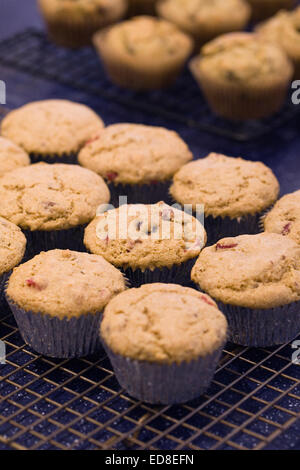 Muffin su un vassoio di raffreddamento Foto Stock