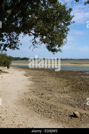 La Mer Blanche laguna di marea a Le Letty in Bretagna Foto Stock