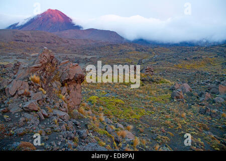 Prima luce su Mt Ngauruhoe e il deserto Rangipo nel Parco Nazionale di Tongariro Foto Stock