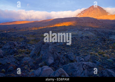 Prima luce su Mt Ngauruhoe nel Parco Nazionale di Tongariro Foto Stock