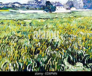 Vincent van Gogh, campo di grano a Auvers con White House (casa a Auvers) 1890. Post-Impressionism. Olio su tela. Foto Stock