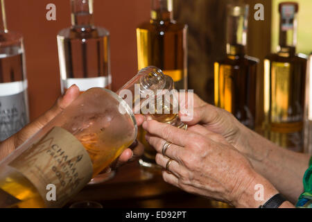 Maurizio, Chamarel, Rum, rhumerie factory tour, centro visita la sala di degustazione versando un bicchiere di rum Foto Stock