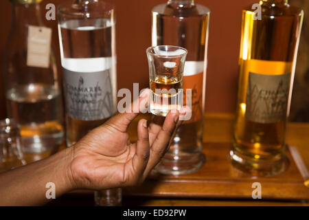 Maurizio, Chamarel, Rum, rhumerie factory tour, centro visita la sala di degustazione, mano azienda bicchiere di rum Foto Stock