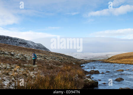 Il Fiume Tees e la vista verso la Banca Widdy fattoria dal pascolo Cronkley Teesdale County Durham Regno Unito Foto Stock