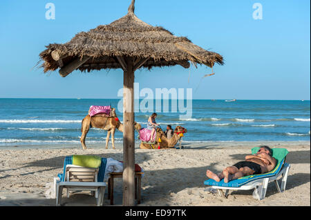 Le corse di cammelli lungo Sidi Mehrez Beach Djerba Tunisia Africa del Nord Foto Stock