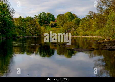 Il Fiume Tees come visto da Barnard Castle e il Ponte di contea nella Contea di Durham. Foto Stock